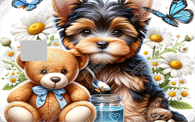 Bank  Card Sticker-BC-143